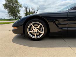 1999 Chevrolet Corvette (CC-1982306) for sale in Sanborn, Iowa