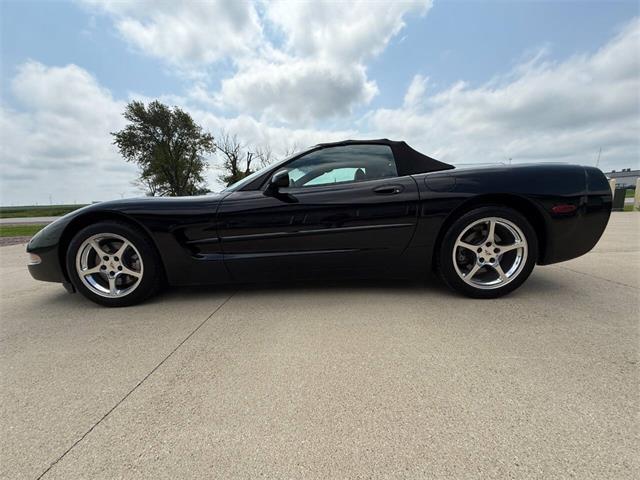 1999 Chevrolet Corvette (CC-1982306) for sale in Sanborn, Iowa