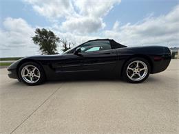 1999 Chevrolet Corvette (CC-1982306) for sale in Sanborn, Iowa