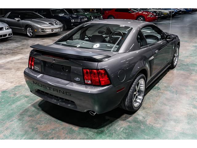 2003 Ford Mustang Mach 1 (CC-1982581) for sale in Sherman, Texas