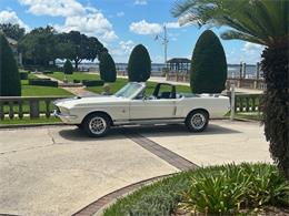 1967 Ford Mustang GT350 (CC-1983016) for sale in Jacksonville, Florida