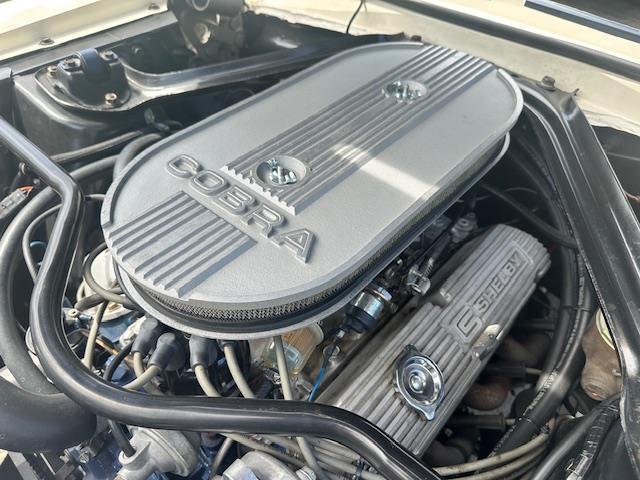 1967 Ford Mustang GT350 (CC-1983016) for sale in Jacksonville, Florida