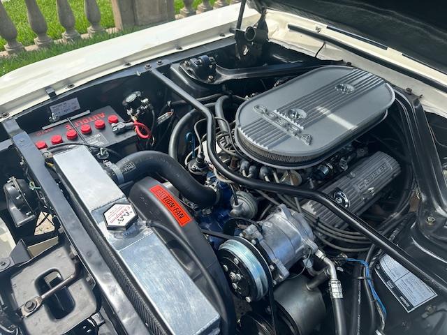 1967 Ford Mustang GT350 (CC-1983016) for sale in Jacksonville, Florida