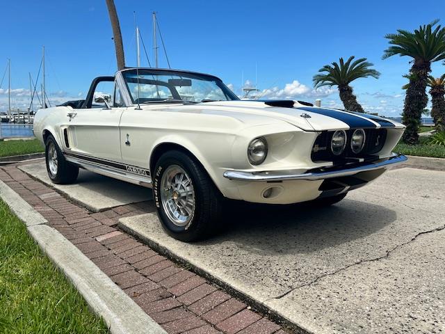 1967 Ford Mustang GT350 (CC-1983016) for sale in Jacksonville, Florida