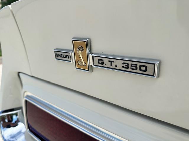 1967 Ford Mustang GT350 (CC-1983016) for sale in Jacksonville, Florida