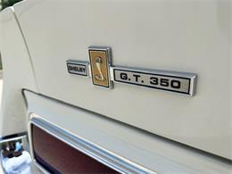 1967 Ford Mustang GT350 (CC-1983016) for sale in Jacksonville, Florida