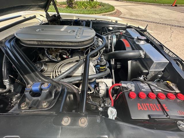 1967 Ford Mustang GT350 (CC-1983016) for sale in Jacksonville, Florida