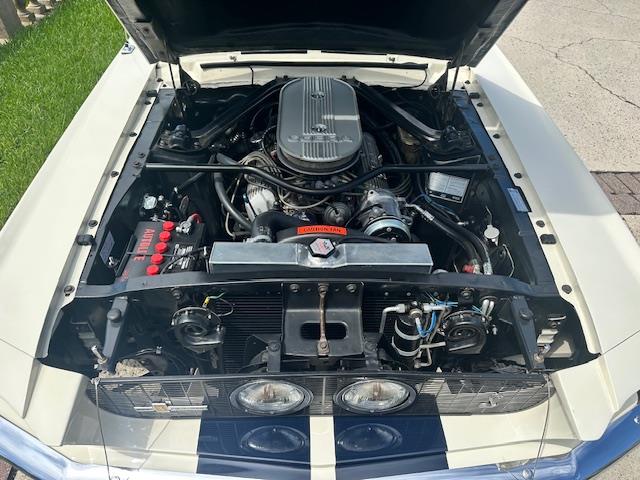 1967 Ford Mustang GT350 (CC-1983016) for sale in Jacksonville, Florida