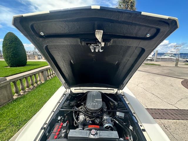 1967 Ford Mustang GT350 (CC-1983016) for sale in Jacksonville, Florida