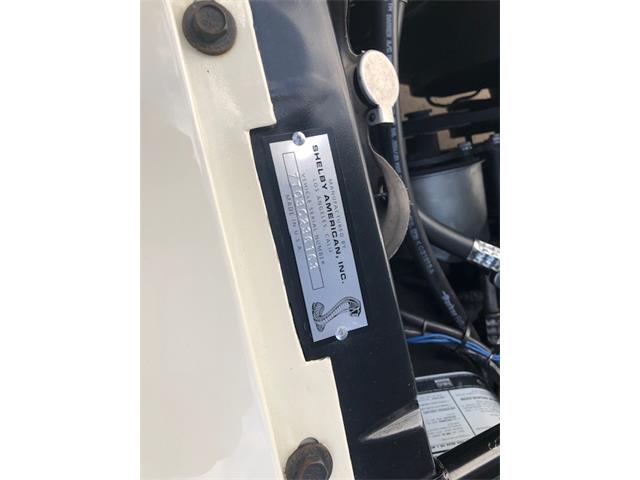 1967 Ford Mustang GT350 (CC-1983016) for sale in Jacksonville, Florida