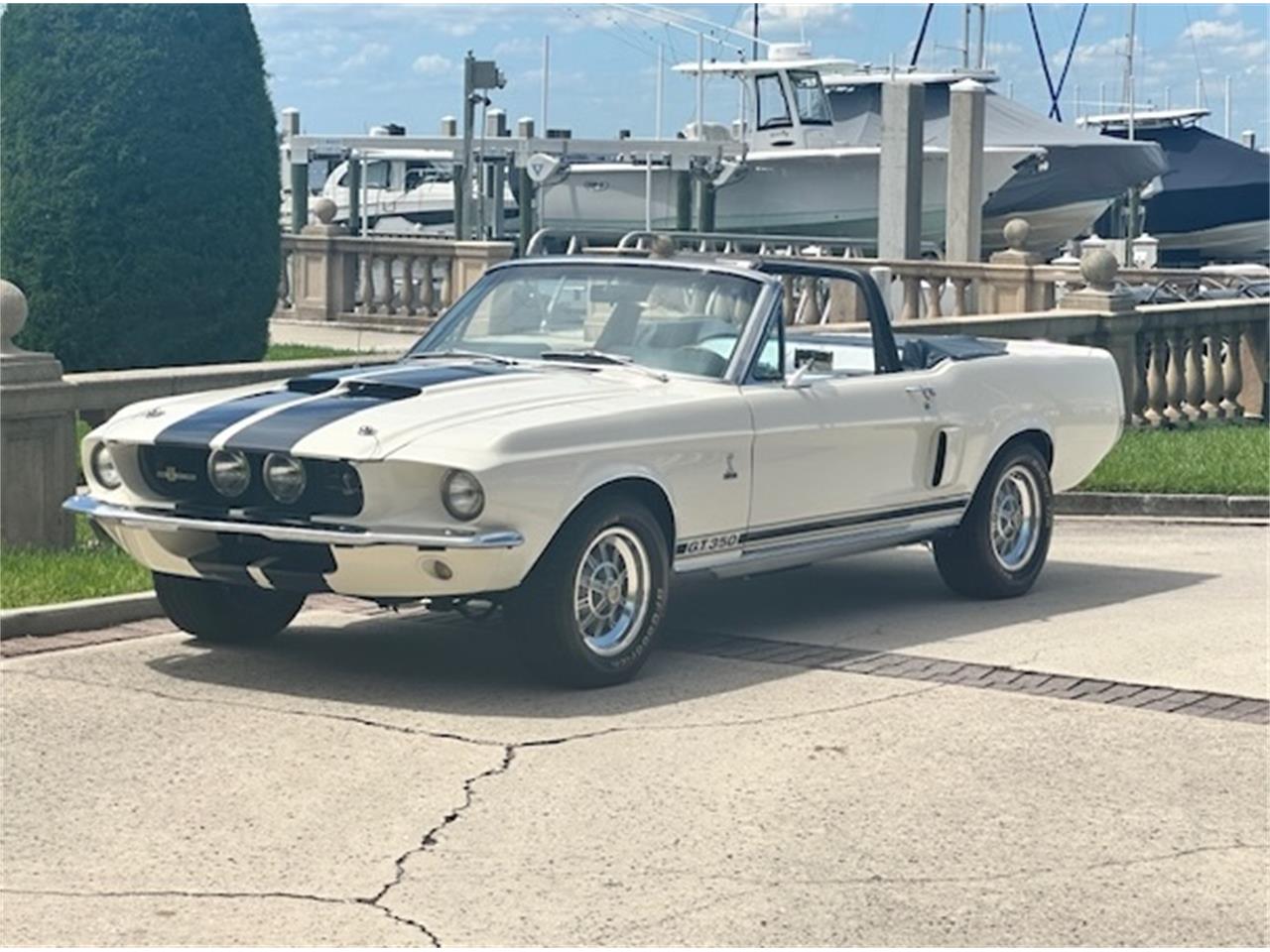 For Sale: 1967 Ford Mustang GT350 in Jacksonville, Florida