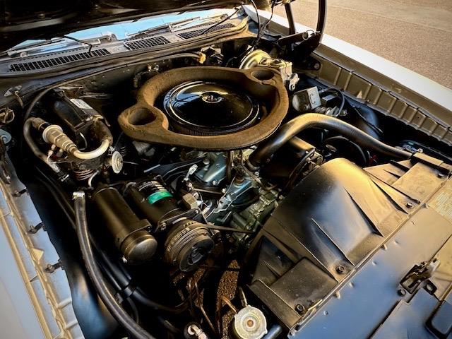 1970 Pontiac GTO (The Judge) (CC-1983502) for sale in Scottsdale, Arizona