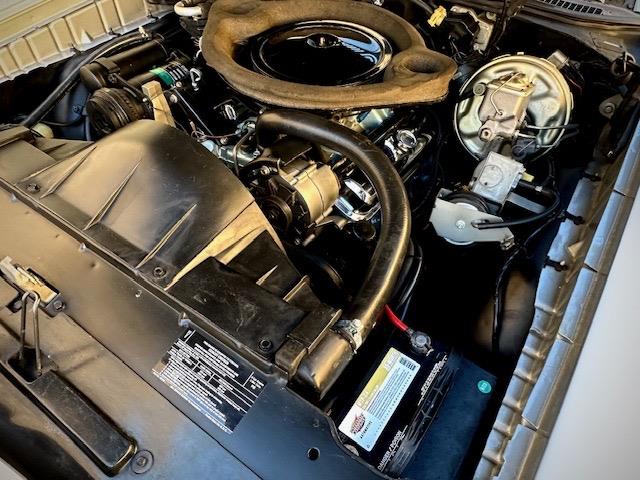 1970 Pontiac GTO (The Judge) (CC-1983502) for sale in Scottsdale, Arizona