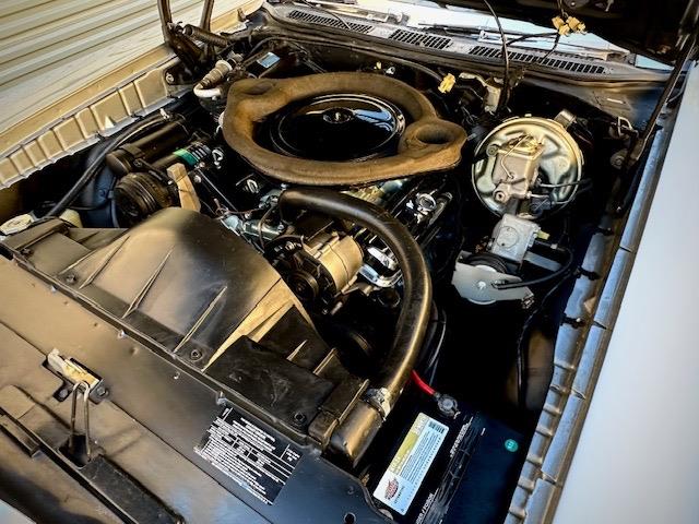 1970 Pontiac GTO (The Judge) (CC-1983502) for sale in Scottsdale, Arizona