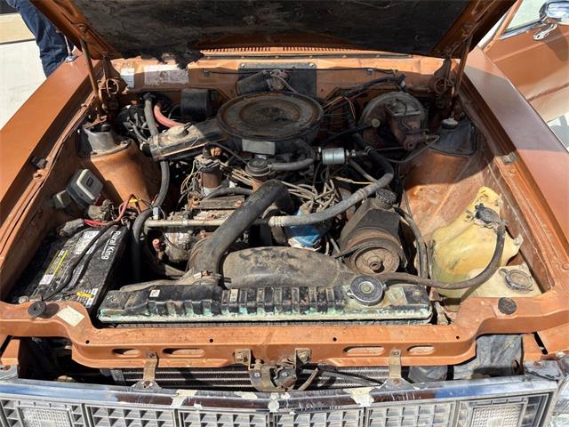 1978 AMC Concord (CC-1983948) for sale in Corydon, Indiana