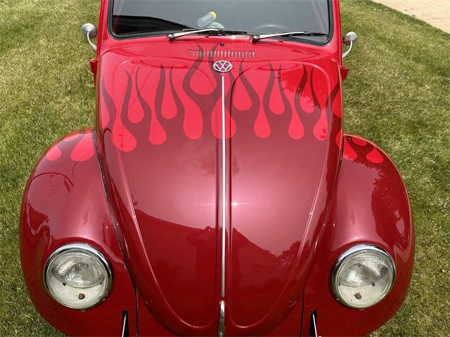 1968 Volkswagen Beetle (CC-1984128) for sale in Louisville, Ohio