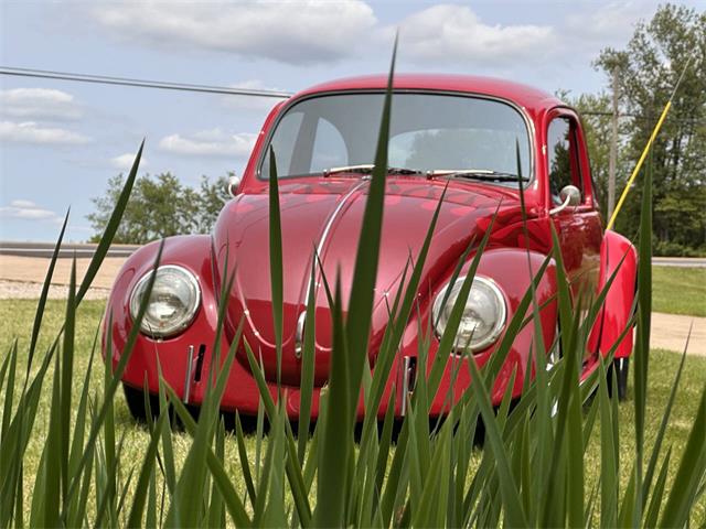 1968 Volkswagen Beetle (CC-1984128) for sale in Louisville, Ohio
