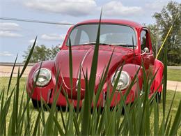 1968 Volkswagen Beetle (CC-1984128) for sale in Louisville, Ohio