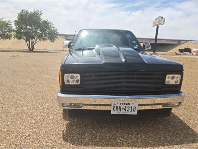 1988 Chevrolet S10 (CC-1984785) for sale in Cadillac, Michigan