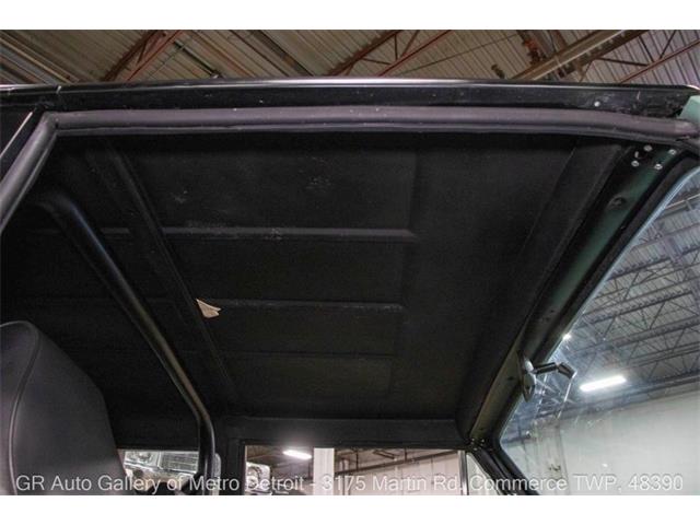 1979 International Scout II (CC-1985244) for sale in Kentwood, Michigan