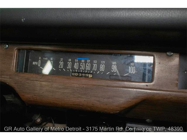 1979 International Scout II (CC-1985244) for sale in Kentwood, Michigan