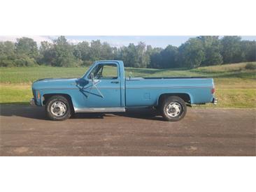 1978 Chevrolet Silverado (CC-1986126) for sale in Cadillac, Michigan