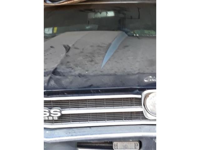 1969 Chevrolet Chevelle (CC-1988102) for sale in Cadillac, Michigan