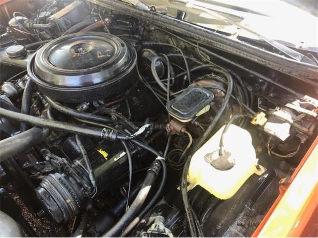 1979 GMC Caballero (CC-1989078) for sale in Cadillac, Michigan