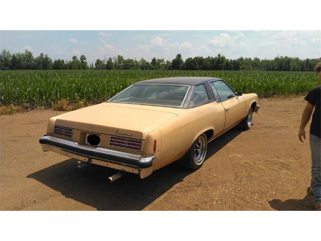 1976 Pontiac Catalina (CC-1989523) for sale in Cadillac, Michigan