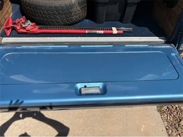 1979 Ford Bronco (CC-1991561) for sale in Cadillac, Michigan