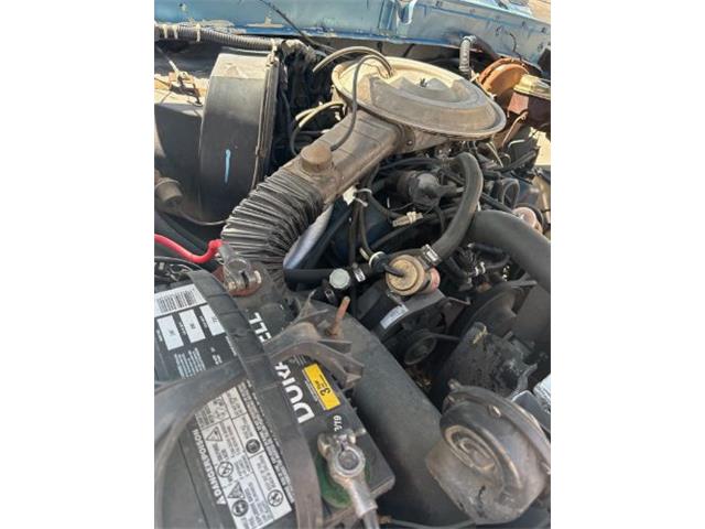 1979 Ford Bronco (CC-1991561) for sale in Cadillac, Michigan