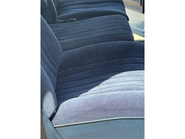 1979 Ford Bronco (CC-1991561) for sale in Cadillac, Michigan
