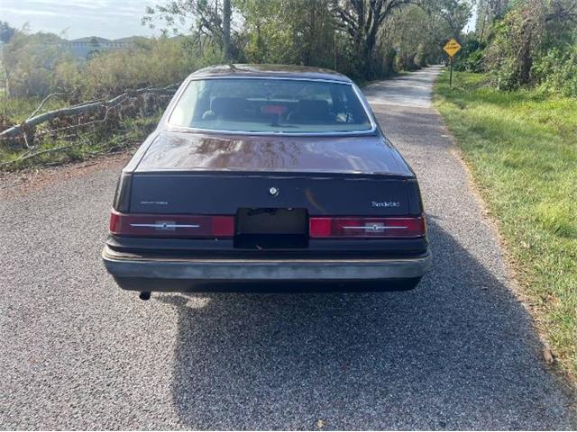 1983 Ford Thunderbird (CC-1992808) for sale in Cadillac, Michigan