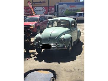 1966 Volkswagen Beetle (CC-1993037) for sale in Cadillac, Michigan