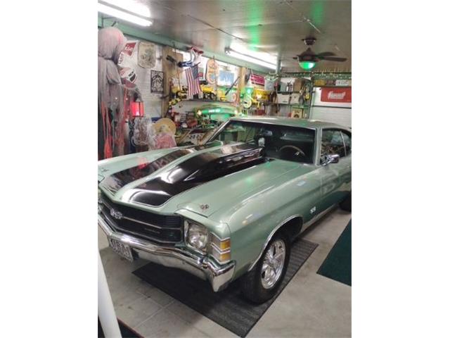 1971 Chevrolet Chevelle (CC-1990348) for sale in Cadillac, Michigan