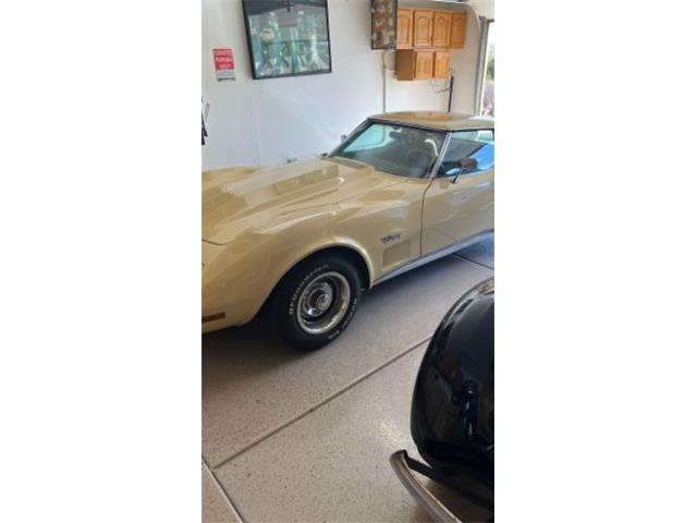 1976 Chevrolet Corvette (CC-1990665) for sale in Cadillac, Michigan
