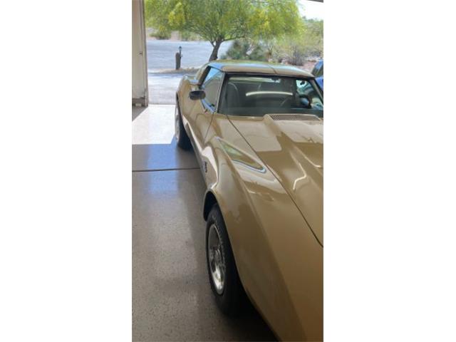 1976 Chevrolet Corvette (CC-1990665) for sale in Cadillac, Michigan