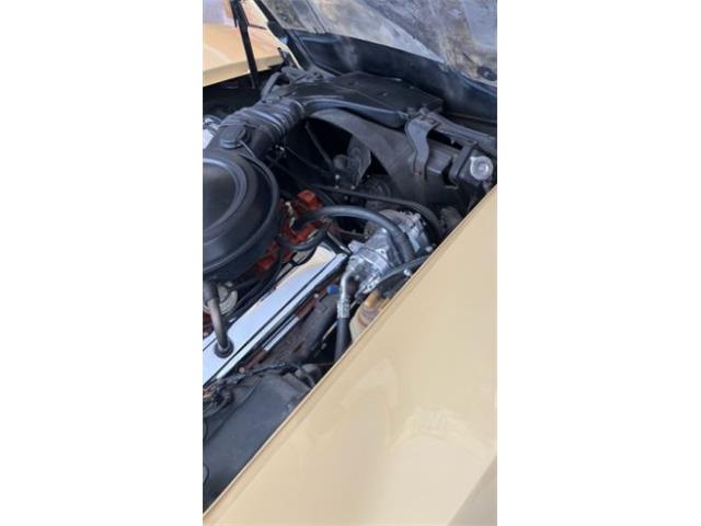 1976 Chevrolet Corvette (CC-1990665) for sale in Cadillac, Michigan