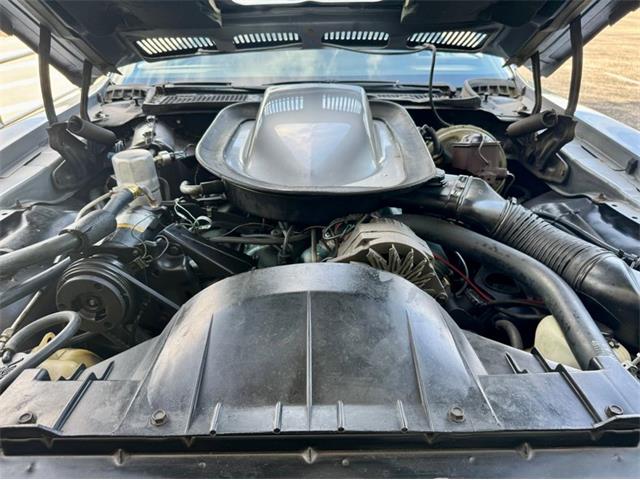 1976 Pontiac Firebird Trans Am (CC-1996928) for sale in Palmetto, Florida