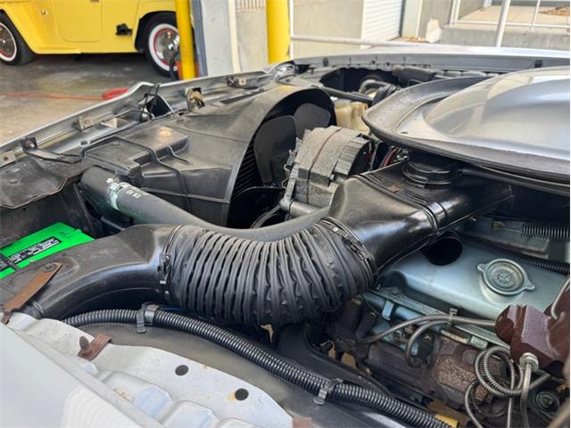 1976 Pontiac Firebird Trans Am (CC-1996928) for sale in Palmetto, Florida