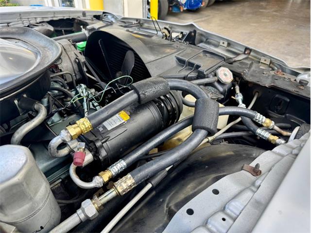 1976 Pontiac Firebird Trans Am (CC-1996928) for sale in Palmetto, Florida