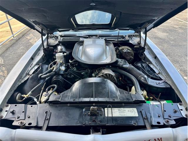 1976 Pontiac Firebird Trans Am (CC-1996928) for sale in Palmetto, Florida