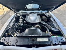 1976 Pontiac Firebird Trans Am (CC-1996928) for sale in Palmetto, Florida
