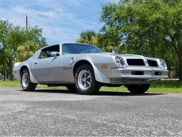 1976 Pontiac Firebird Trans Am (CC-1996928) for sale in Palmetto, Florida