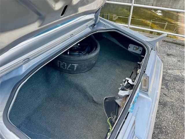 1976 Pontiac Firebird Trans Am (CC-1996928) for sale in Palmetto, Florida