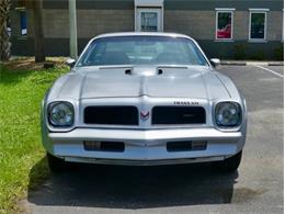 1976 Pontiac Firebird Trans Am (CC-1996928) for sale in Palmetto, Florida
