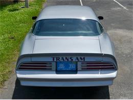 1976 Pontiac Firebird Trans Am (CC-1996928) for sale in Palmetto, Florida