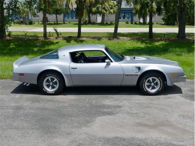 1976 Pontiac Firebird Trans Am (CC-1996928) for sale in Palmetto, Florida