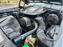 1976 Pontiac Firebird Trans Am (CC-1996928) for sale in Palmetto, Florida