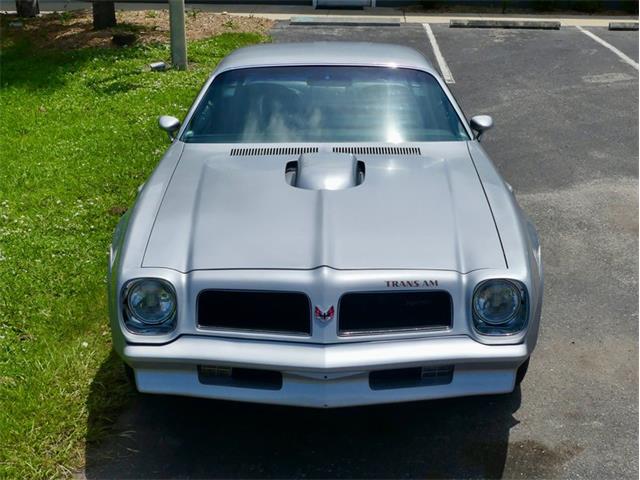 1976 Pontiac Firebird Trans Am (CC-1996928) for sale in Palmetto, Florida